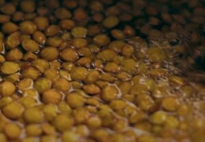 Close up view of lentils